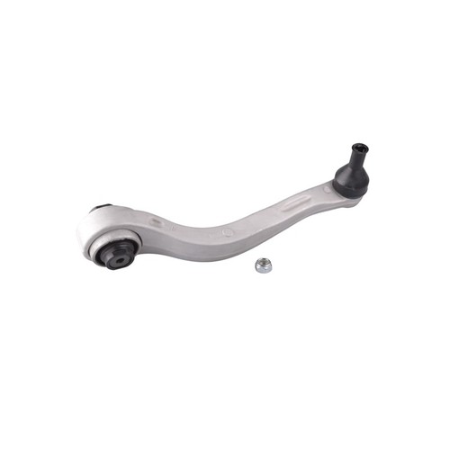 Ted gum vorderer rechter - ted-gum,